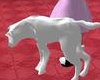 albino dog