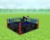boxing ring black