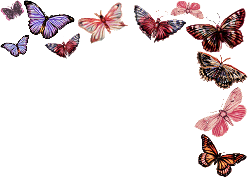 sticker_23910053_38691864