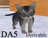 (A) Kitten