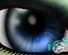W! Nymphberri Eyeballs