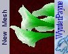Calla Lilly Boquet