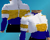 Saiyan Type Armour
