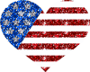 a usa heart