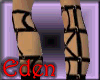 EDEN Amazon DreamBoot