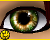 Hazel Eyes - M