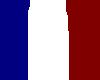 French Flag Hair