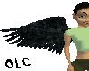 Black Marble Wings