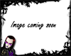 NoC Garnet