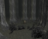 Shadow Forest