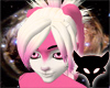 Lucious Bunny Bundle
