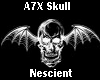 Avenged Sevenfold Skull