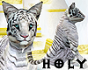 Siberia WhiteLittleTiger