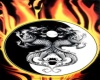 Yin Yang Dragon 2