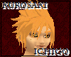 Ichigo Hair
