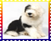 Cute puppy stamp