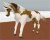 *Paint Riding Horse (A)