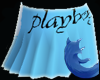 playboy mini