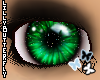 [L] Green i-Flee