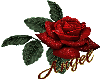Angel Rose