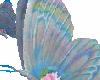 5 Blueflower