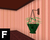 F HanginPlant DERIVABLE