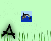 [A] Dolphin Bling
