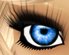 |C| Summer eyes 3
