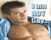 I'm NOT Gay - Looking