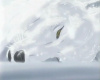 Wolf's Rain Kiba