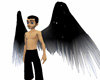 Black/White Arch Wings