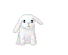 White Bunny
