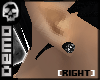 D-PnG TpR [R]