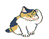 Small-Kitty