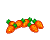 Rainbow Carrots
