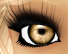 |C| Summer eyes 4