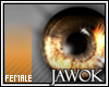 JA | IceEyeOrange