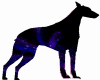 doberman spatial
