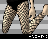 [23] MINCOV Fishnet