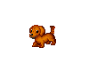 Mini Wienie Dog :)