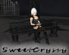 Nuit Classic Bench