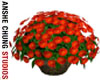 [ACS] RED CARNATION