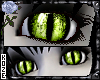 Feline - Bile