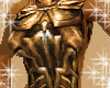 Gold Armour