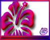 Flower 26