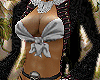 (MI) Pirate G.A