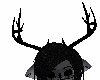Solid Black Antlers