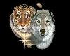 TigerWolf Duster