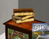 [DTR] Old leather books