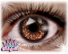 ShineShimmer Eyes Brown